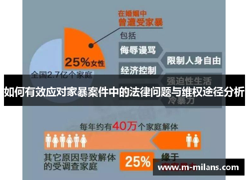 如何有效应对家暴案件中的法律问题与维权途径分析